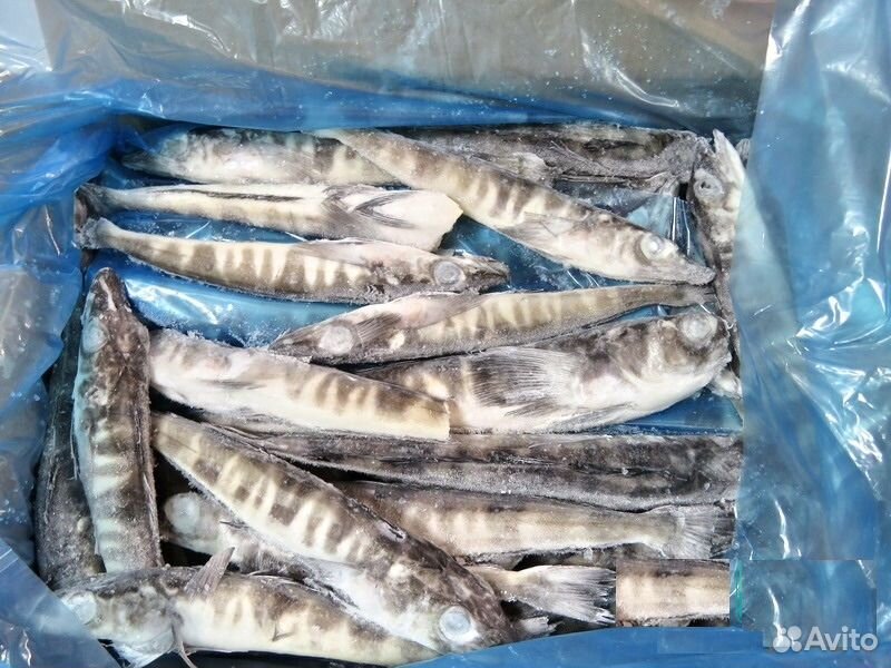 Ледяная рыба потрошеная бабочка ~ 1 кг в упаковке